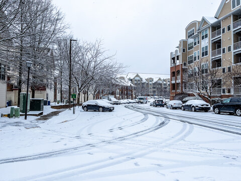 The snow everywhere 