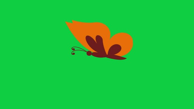 Side And Top View Orange Butterfly Flapping Wings And Antennae Movement Isolated On Green Screen Background, 5 Seconds Loopable