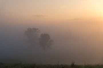 Sunrise in the country with thick early morning mist