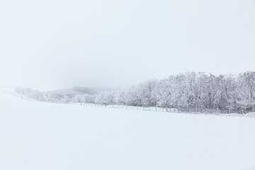 Foggy winter scenery with snowy fields 