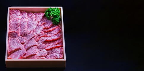 牛肉　箱入り　ふるさと納税　【ギフトのイメージ】