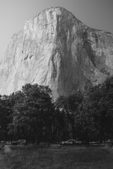El Capitan seen from Yosemite valley floor. Vertical black and white photo
