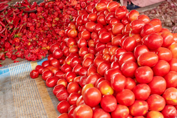 Neatly  arranged pile of tomatoes with scotch bonnets and finger chille pepper at the rear end of the arranged tomatoes