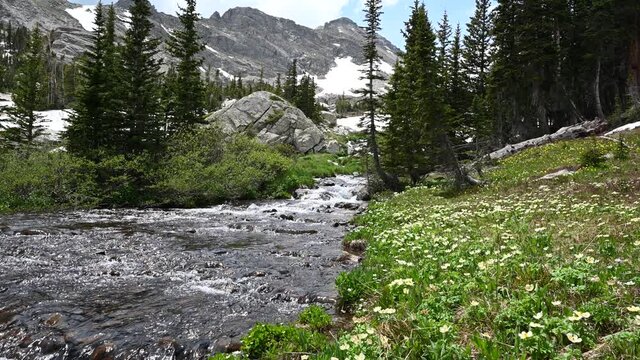 Stream flowing into Mountain Landscape with Wildflowers