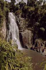 Obraz premium waterfall in the forest