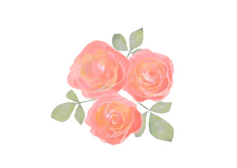 バラの水彩画