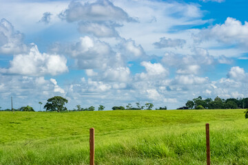 field and sky