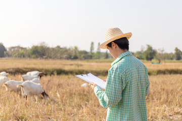 Young asian smart farmer man holding clipboard checklist with blurred goats eating grass in field, Smart farmer concept