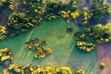 beautiful autumn landscape in nature park, aerial