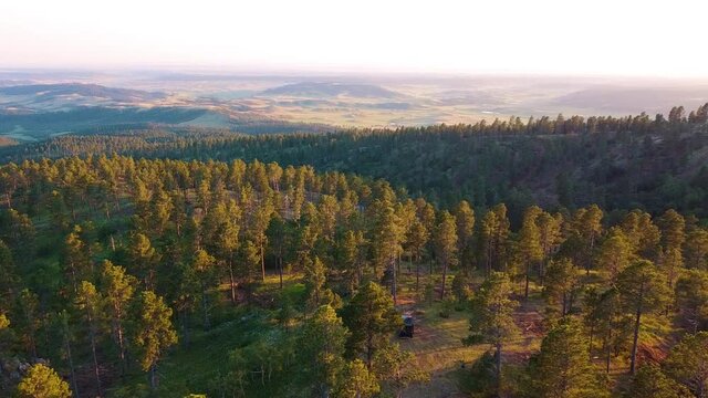 Mountain view above pine forest