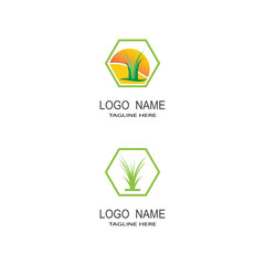 Vector green grass eco natural illustration design