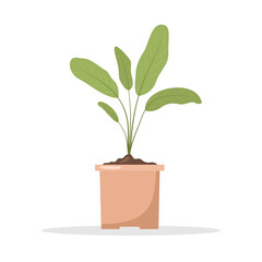 Spring seedling in pots. Growing gardening plants. Vegetarian and ecological products. Vector illustration in flat cartoon style.