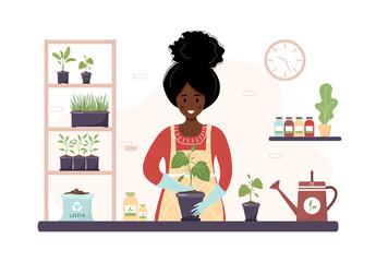 Planting at home. Cartoon african woman replanting seedling in orangery. Gardening hobby. Vector illustration in flat style. Domestic plants nursery and care concept.