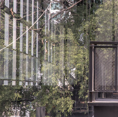 The details of tree branches and green leaf reflecting in the glass wall. Selective focus.