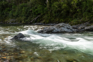 Rapid section of the Te Hoiere/Pelorus River flowing over rocks and through forest. Pelorus Bridge, Marlborough, New Zealand.