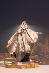 Back of  the Virgin Mary statue in the night light. With snow falling in the background.