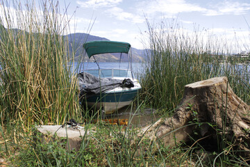 boat moored on the lake shore in the undergrowth, with mountains in the background
