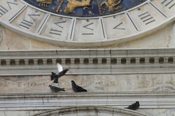 Travel to Venice , Italy