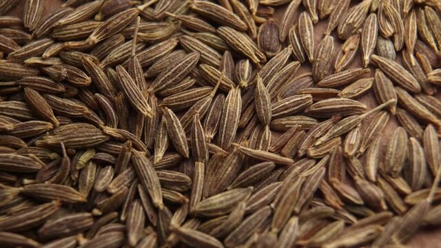 Cumin or jeera seeds, close-up. Seasoning cumin or jeera, a lot of seeds rotating.