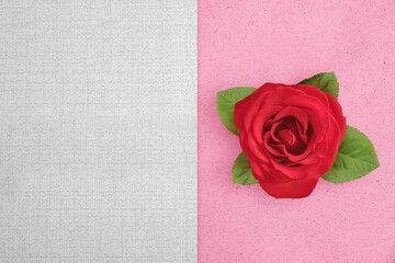 Red rose on a colored background
