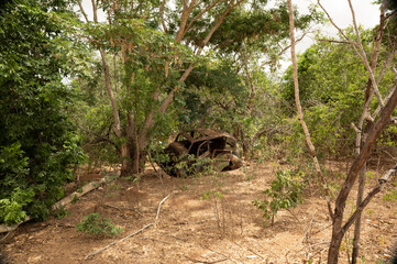old Abandoned car wreck