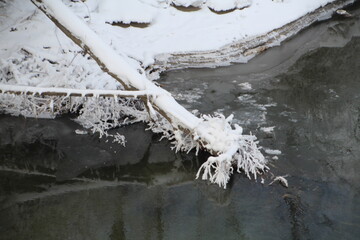 Frosted Tree, Gold Bar Park, Edmonton, Alberta