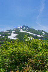 Obraz premium 初夏の残雪の鳥海山を望む