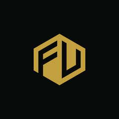 Initial letter FV hexagon logo design vector