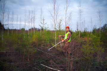 A forest worker takes care of the planted trees with a trimmer. The concept of reforestation after deforestation.