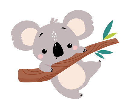 Cute Koala Climbing the Tree, Adorable Australian Animal Cartoon Vector Illustration