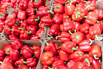 Sweet bell pepper on the market