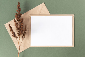 White blank card, craft envelope and dry flowers plant on green background. Top view Flat lay...