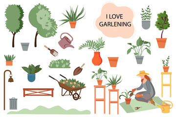 gardener.Woman planting gardens flowers, agriculture gardener hobby and garden job.