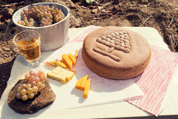 Wine and amber grapes with ritual bread and cheese in a vineyard. Selective focus
