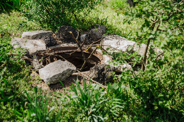 A deep, old, uncovered manhole is dangerous for pedestrians and animals. Instead of a cover, warning tree branches stick out from the hatch