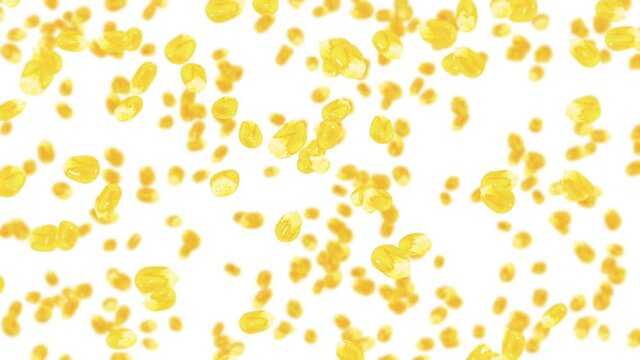 Flying many corn grains on white background. Yellow sweet corn seeds. Vegetarian. Healthy food. 3D loop animation of corn rotating.