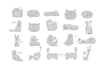 Collection of cats character for your design