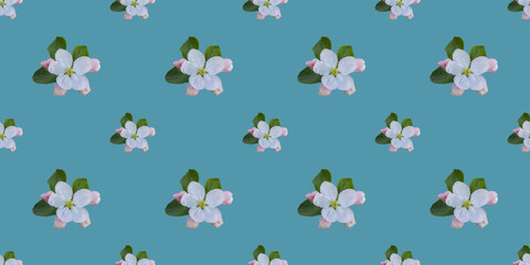 Seamless pattern with apple tree flowers