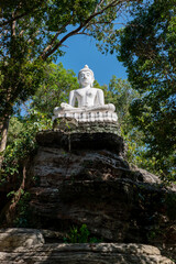 White Buddha statue in the frame of the tree in Thailand temples