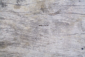Obraz premium Wood Table Texture for Background. Rough, Dry, Dirty and Retro Style. Real Wood with Natural Light.