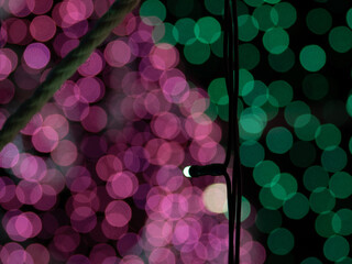 ボケ　光　イルミネーション