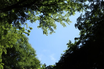 ハート型の空【国内・熱海】