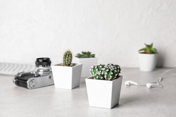 Cacti, photo camera and earphones on light background