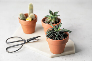 Board with succulents, cactus and scissors on light background