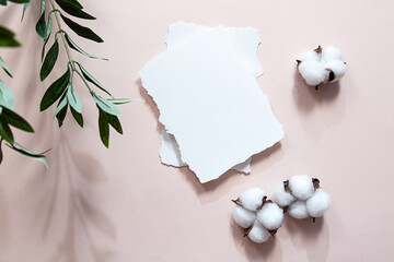 Modern postcard layout. Blank sheet of paper, long shadows of an olive branch and cotton flowers, on a pink background. Summer flat lay.