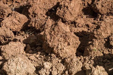 Soil nugget, soil clod, soil lump, soil chunk in fields on the island of Negros