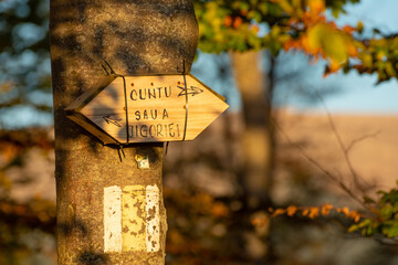 Muntele Mic, Romania - October 12, 2019 - Indicator sign in forest towards Cuntu and Saua Jigoriei