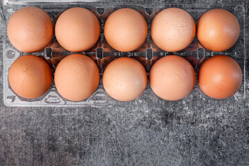 Top view chicken eggs in a plastic tray.