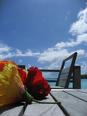 Beautiful day in island of Borabora Tahiti , starting from a great breakfast to awesome sunset on the beach.