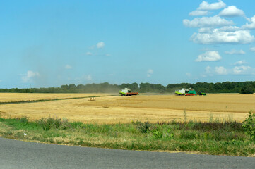 Fototapeta na wymiar Harvesters harvest wheat in the field